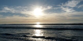 California, fuoriuscita di petrolio oceano