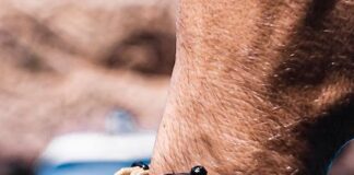 Collezione orologi “Seastainable” made in Svizzera da Sea2see orologio sea2see