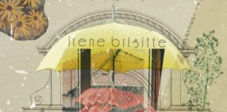 Ricette per il mal di tempo è il nuovo singolo di Irene Brigitte ricette per il mal di tempo