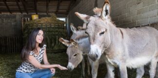 Al via su Rai Gulp “GoWild – Animali in città” con Jenny Pacini