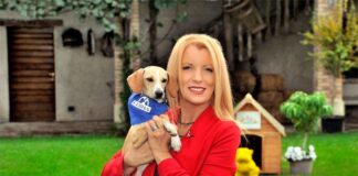 La clinica delle rondini, i cani volanti nelle puntata di “Dalla parte degli animali” brambilla 28 novembre 2021