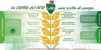 Global Climate Summit: Riso Gallo per ambiente, territorio e persone