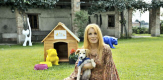 I cavalli selvaggi del parco dell’Aveto protagonisti in tv