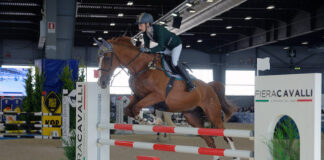 I numeri di Fieracavalli 2021: superata quota 100mila visitatori fieracavalli 2021 salto cavallo