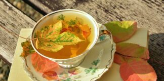 Libri da leggere: i consigli di novembre 2021 leggi con me novembre 2021