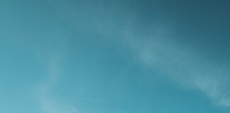 Marlene Kuntz in concerto a Milano e Roma: date e biglietti Marlene Kuntz