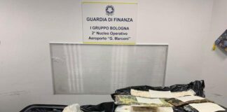 Bologna, traffico internazionale di stupefacenti: un arresto in aeroporto refurtiva sequestrata 4 novembre 2021