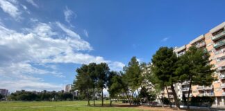 Arbolia e WindTre realizzano un bosco urbano da 1.000 alberi a Taranto