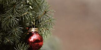 “Christmas Fatigue”, proteggere l’equilibrio psicofisico da preparativi albero di natale pallina