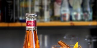 Americano di Klaus e Winter Silver, le ricette di due cocktail per le feste americano di klaus