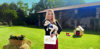 I cani “cercatutto” e altre storie di animali in tv: ecco quando