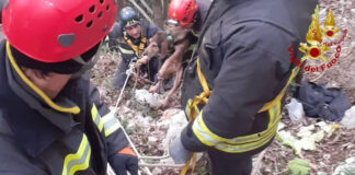 Maratea, intervento di recupero di un cane scivolato in un dirupo recupero cane maratea