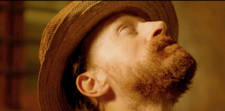 “Van Gogh – I Girasoli” il docu-film di David Bickerstaff al cinema