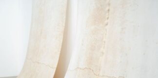 “La bellezza dell’impermanenza”, le opere di Gaia Bellini a Venezia