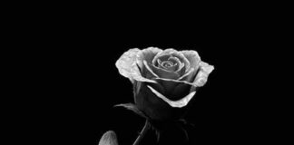 “La ragazza del futuro”, la tracklist dell’album di Cremonini e il singolo la ragazza del futuro cremonini