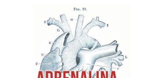 “Adrenalina”, brano estratto dl nuovo album di Lorenzo Semprini lorenzo semprini cover adrenalina