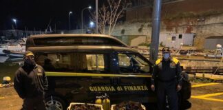 Tarquinia, operazione Riccio di Capodanno: sequestrati 9000 ricci di mare sequestro ricci
