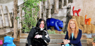 La squadra di calcio anti-randagismo protagonista in tv