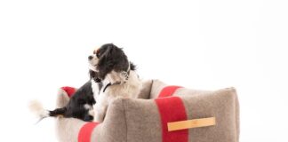 San Valentino di 2.8 design for dogs: idee regalo per amici a quattro zampe cuccia henri lana riciclata