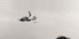 “Before and Now Seems Infinite”, l’album di Federico Albanese federico albanese before and now seems infinite