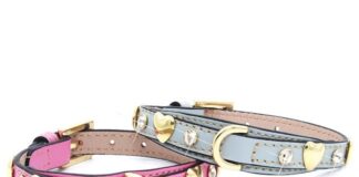 San Valentino a quattro zampe: nuove idee da Pupakiotti guinzagli