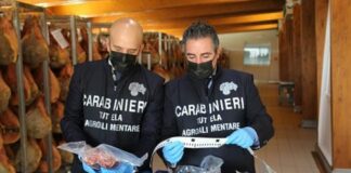 Sequestrate oltre 10 tonnellate di carne suina: due denunce nac