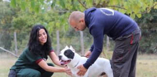 Benessere animale in canile: progetto Zoetis e Fondazione Cave Canem progetto cani