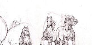 “The Box”, l’installazione di Melanie Francesca a Sanremo