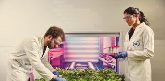 Agricoltura e riduzione risorse idriche: ecco una possibile soluzione farm zero
