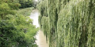 Il Po a secco, crisi idrica imminente fiume po