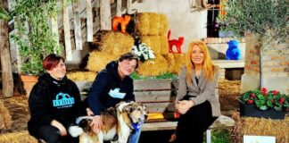 I cani e gatti salvati al confine con l’Ucraina nella puntata di “Dalla parte degli animali”