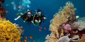 Scubadvisor, alla scoperta dell’app per gli amanti delle immersioni