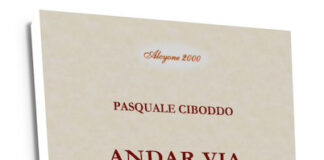 “Andar via”, la raccolta di poesie di Pasquale Ciboddo andar via libro Pasquale Ciboddo