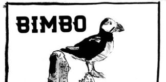 “L’Alligatore”, il nuovo ep di Bimbo: l’intervista bimbo cover