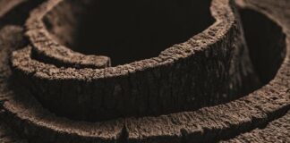 “Sug_hero Metaforme” la mostra al WIMU promossa da Amorim Cork Italia