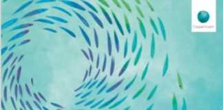 Lenti a contatto giornaliere: al via il progetto green “Plastic Neutral” plasticneutral