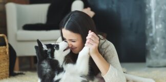 Animali domestici, coccole sì ma con moderazione: ecco alcuni consigli coccole cani