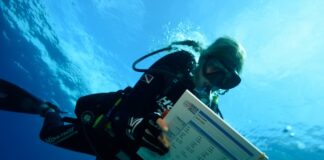 “Climate Change Days Tour” all’Isola d’Elba: ecco quando mpa engage