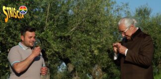 Coltivazione dell’olio di Pianella protagonista a Striscia la notizia rampello olive