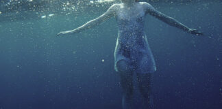 “The Shark In Your Water”: il nuovo album di Flower Face: tracklist the shark in your water