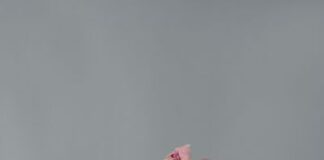 “Ziqian Liu. Inner Eye” la personale della fotografa Ziqian Liu, Milano