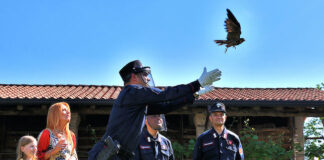 I custodi delle biodiversità e i pony che fanno compagnia agli anziani in tv