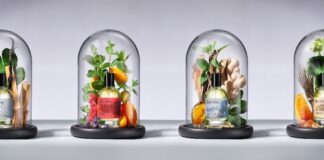 I quattro elementi del fuoco, aria, acqua e terra nella collezione Bullfrog bullfrog elements collection