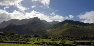 Itinerari del gusto alla Canarie: enoturismo e prodotti tipici caffe valle de agaete