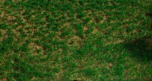 “La Coinquilina” è il nuovo singolo di Chiara Cami, l’intervista chiara cami