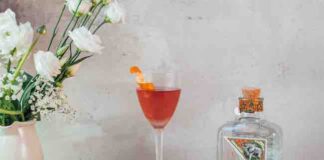 La ricetta di Italian Sundowner con Orange Cocoa di Elephant Gin Orange Cocoa Cocktail Dumbo's Flight