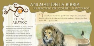 “Animali della Bibbia”, itinerario culturale al Bioparco di Roma leone pannelli bibbia 2022