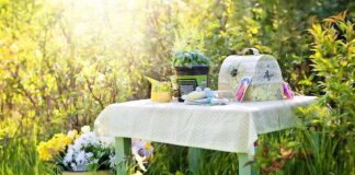 Picnic, ricette sfiziose per un menù con ingredienti di stagione picnic