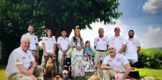 La squadra dei cani da salvataggio e il ritorno dei falchi grillai in tv squadra cani salvataggio