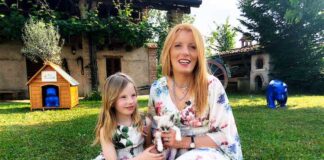 Gli ungulati del Cras, una cavalla giramondo tra i protagonisti in tv stella, gattino e brambilla